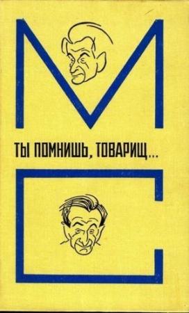 Обложка книги «Ты помнишь, товарищ…» — Лидия Борисовна Либединская, Зиновий Самойлович Паперный