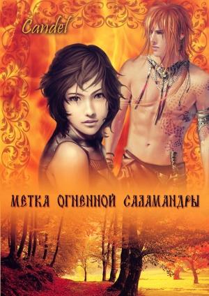 Обложка книги «Метка Огненной Саламандры» — Ольга Кандела