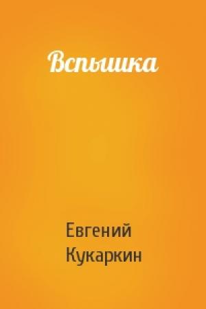 Обложка книги «Вспышка» — Евгений Кукаркин