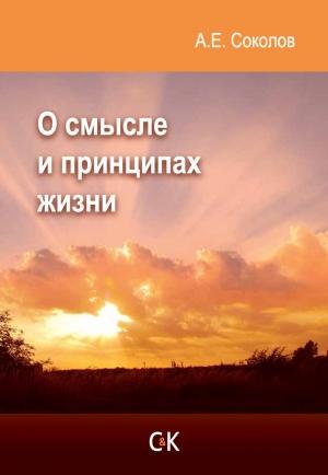 Обложка книги «О смысле и принципах жизни» — Алексей Соколов