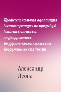 Профессиональная адаптация военнослужащих по призыву в воинских частях и подразделениях Воздушно-космических сил Вооруженных сил России