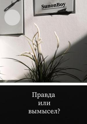 Обложка книги «Правда или вымысел?» — Sunon Boy