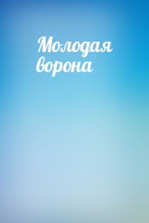 Обложка книги «Молодая ворона»