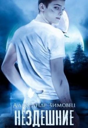 Обложка книги «Нездешние» — Александр Зимовец