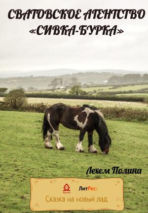 Обложка книги «Сватовское агентство «Сивка-Бурка»» — Полина Лехем