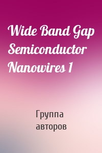 Wide Band Gap Semiconductor Nanowires 1