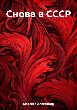 Обложка книги «Снова в СССР» — Александр Матвеев