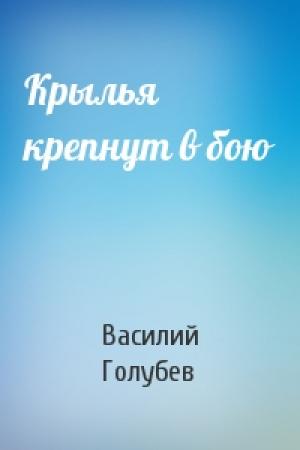 Обложка книги «Крылья крепнут в бою» — Василий Голубев