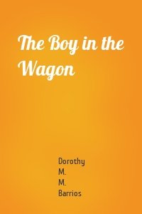 The Boy in the Wagon