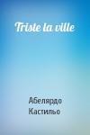 Абелярдо Кастильо - Triste la ville