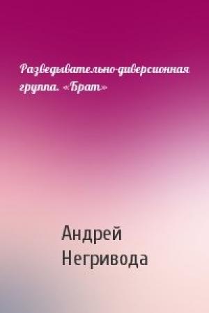 Обложка книги «Разведывательно-диверсионная группа. «Брат»» — Андрей Негривода