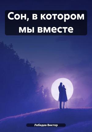 Обложка книги «Сон, в котором мы вместе» — Виктор Лебедев