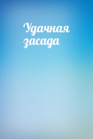 Обложка книги «Удачная засада»