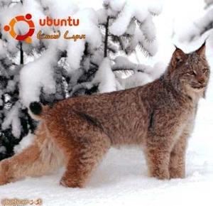 Обложка книги «Руководство по переходу на Ubuntu 10.04 LTS «Lucid Lynx»» — Вадим Неворотин