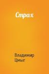Владимир Цмыг - Страх