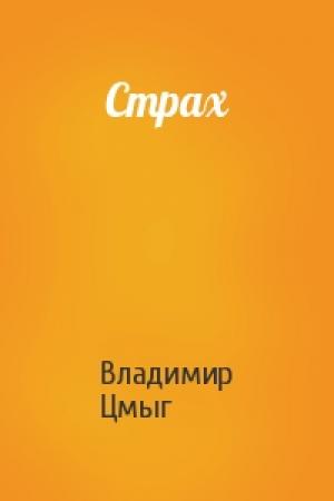 Обложка книги «Страх» — Владимир Цмыг