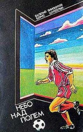 Обложка книги «Небо над полем» — Валерий Винокуров, Борис Шурделин