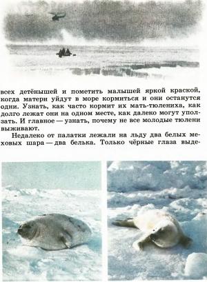 Обложка книги «В океане» — Элеонора Бакулина, Алексей Яблоков