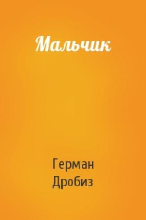 Обложка книги «Мальчик» — Герман Дробиз