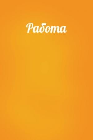 Обложка книги «Работа» — Евгений Зиборов