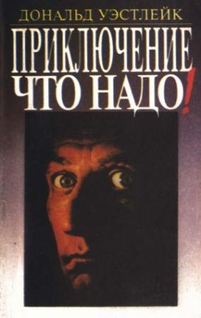 Обложка книги «Полицейские и воры» — Дональд Уэстлейк