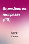 Юрий Салов - Волшебник на гастролях (СИ)