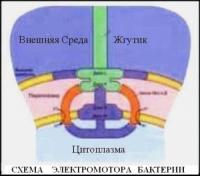 Обновление от 30 августа 2003 года