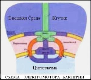 Обложка книги «Обновление от 30 августа 2003 года» — Владимир