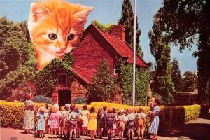 Обложка книги «Еще кошек, пожалуйста» — Наоми Крайцер