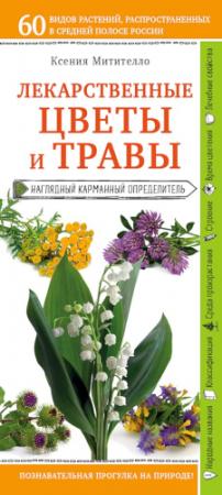 Обложка книги «Лекарственные цветы и травы. Наглядный карманный определитель» — Ксения Митителло