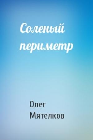 Обложка книги «Соленый периметр» — Олег Мятелков