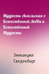 Эммануил Сведенборг - Мудрость Ангельская о Божественной Любви и Божественной Мудрости