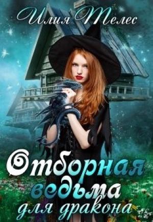 Обложка книги «Отборная ведьма для дракона» — Илия Телес, Настя Ильина