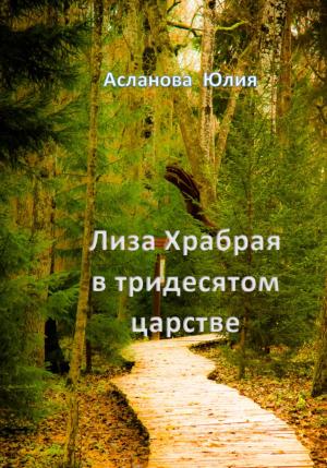 Обложка книги «Лиза Храбрая в тридесятом царстве» — Юлия Асланова