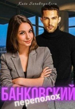 Обложка книги «Банковский переполох» — Екатерина Серебрякова