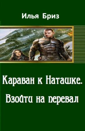 Обложка книги «Взойти на перевал» — Илья Бриз