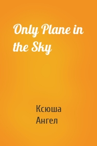 Only Plane in the Sky