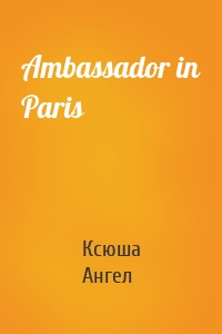 Ambassador in Paris