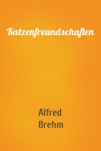 Katzenfreundschaften