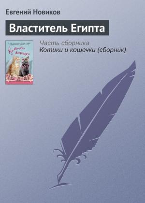 Обложка книги «Властитель Египта» — Евгений Новиков