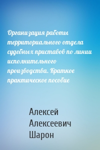 Организация работы территориального отдела судебных приставов по линии исполнительного производства. Краткое практическое пособие