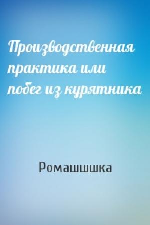 Обложка книги «Производственная практика или побег из курятника» — Ромашшшка
