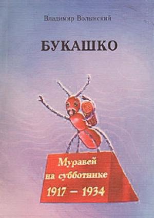 Обложка книги «Букашко» — Владимир Моисеев