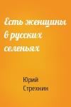 Юрий Стрехнин - Есть женщины в русских селеньях