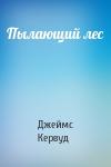 Джеймс Кервуд - Пылающий лес