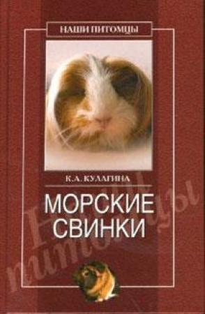 Обложка книги «Морские свинки» — Кристина Кулагина