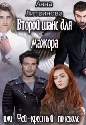 Обложка книги «Второй шанс для мажора или Фей-крестный поневоле» — Анна и Сергей Литвиновы