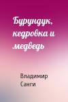 Владимир Михайлович Санги - Бурундук, кедровка и медведь