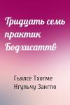 Гьялсе Тхогме, Нгульчу Зангпо - Тридцать семь практик Бодхисаттв