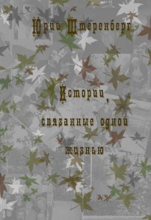 Обложка книги «Истории, связанные одной жизнью» — Юрий Штеренберг